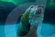 FEATURE - Süsser Eisbär auf Tauchgang