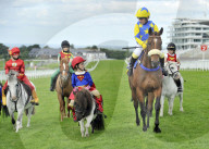 FEATURE - Supersüsse Superhero-Ponies auf der Rennbahn