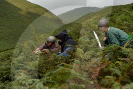FEATURE - Wikingerschlacht von Rannerdale nachgespielt