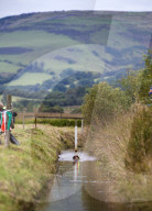 FEATURE - Schnorchel Wettbewerb in Llanwrtyd Wells