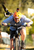 FEATURE - Radfahrer in Port Macquarie werden von Flötenvögeln attackiert