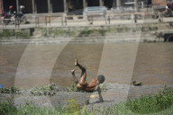 FEATURE - Die Bilder der Woche