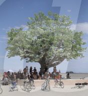 FEATURE - Burning Man Festival in der Wüste von Nevada