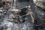NEWS - Kalifornien: Waldbrände bei Los Angeles