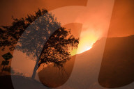 NEWS - Kalifornien: Waldbrände bei Los Angeles