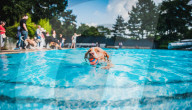 FEATURE - Hundeschwimmen im Freibad