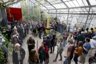 NEWS - Seltenes Naturschauspiel: Eine Titanenwurz Pflanze blüht im Botanischen Garten Bochum
