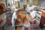 REPORTAGE - Produktion von SÃ¼ssigkeiten in Mexiko