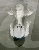 FEATURE - Alt aber schnell: Historisches Speed-Boot Blue Bird K3 in Kent gwassert