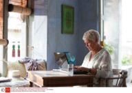 The Best Exotic Marigold Hotel - 2012