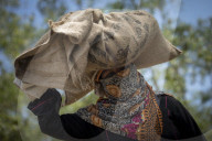 NEWS - Bangladesch: Rohingya aus Myanmar auf der Flucht 