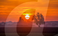 FEATURE - Bilder der Woche