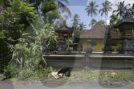 NEWS - Bali: Grösster Vulkan treibt Zehntausende in die Flucht