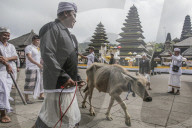 NEWS - Bali: Grösster Vulkan treibt Zehntausende in die Flucht