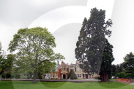 PORTRAIT - Mavis Batey 