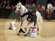 FEATURE - Horse of the Year Show in Birmingham