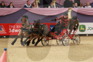 FEATURE - Horse of the Year Show in Birmingham