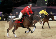FEATURE - Horse of the Year Show in Birmingham