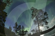 FEATURE - Nordlichter und Landschaften in Lapland