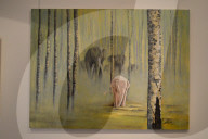 NEWS - Türkei: White Angels Ausstellung in Ankara