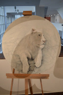 NEWS - Türkei: White Angels Ausstellung in Ankara