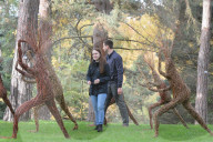 FEATURE - Kew Gardens Herbst Art Festival