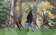 FEATURE - Kew Gardens Herbst Art Festival