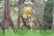 FEATURE - Kew Gardens Herbst Art Festival