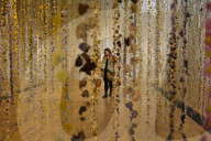 FEATURE - Kew Gardens Herbst Art Festival