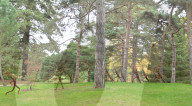 FEATURE - Kew Gardens Herbst Art Festival