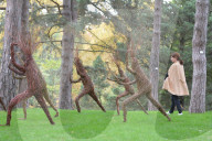 FEATURE - Kew Gardens Herbst Art Festival
