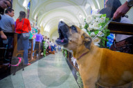 FEATURE - Sao Paulo: Tiere feiern Franz von Assisi in der Kirche