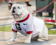 FEATURE - Bilder der Woche