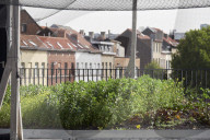 REPORTAGE - Belgien: Urban Farming auf dem Dach des Schlachthauses in Anderlecht