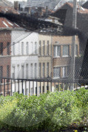 REPORTAGE - Belgien: Urban Farming auf dem Dach des Schlachthauses in Anderlecht