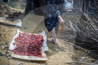 NEWS - Bangladesch: Flüchtlingslager der Rohingyas