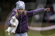 FEATURE - Jumping Rabbits: Hasen springen über Hindernisse