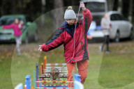 FEATURE - Jumping Rabbits: Hasen springen über Hindernisse