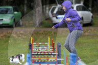 FEATURE - Jumping Rabbits: Hasen springen über Hindernisse