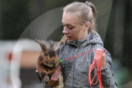 FEATURE - Jumping Rabbits: Hasen springen über Hindernisse