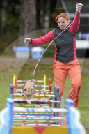 FEATURE - Jumping Rabbits: Hasen springen über Hindernisse