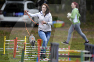 FEATURE - Jumping Rabbits: Hasen springen über Hindernisse