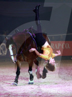 FEATURE - Horse of the Year Show in Birmingham