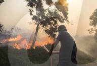NEWS - USA: WaldbrÃ¤nde in Kalifornien - Kampf gegen das Feuer