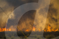 NEWS - USA: WaldbrÃ¤nde in Kalifornien - Kampf gegen das Feuer