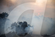 NEWS - USA: WaldbrÃ¤nde in Kalifornien - Kampf gegen das Feuer