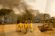 NEWS - USA: Waldbrände in Kalifornien - Kampf gegen das Feuer