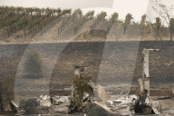 NEWS - USA: Waldbrände in Kalifornien - Kampf gegen das Feuer