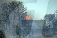 NEWS - USA: Waldbrände in Kalifornien - Kampf gegen das Feuer