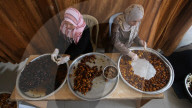 REPORTAGE - Dattelernte in Gazastreifen